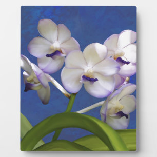 Art. van de Foto van het Plant van bloesems het Fotoplaat