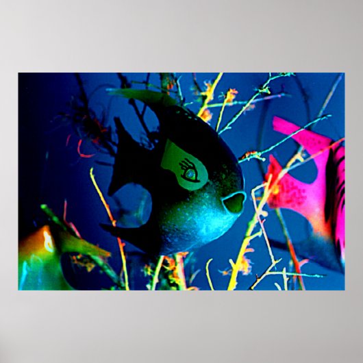 Art. van jGibneyGiclée van de VISSEN het Kolossale Poster (Voorkant)