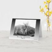 ART WEST Wenskaart - "Wildwood" Kaart (Gele Bloem)