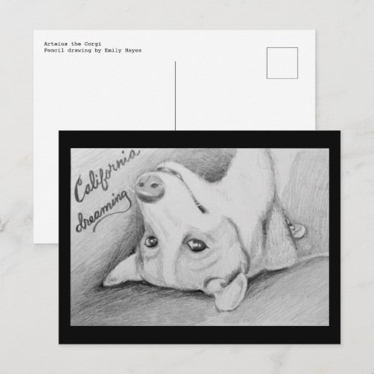 Artaius de Corgi Briefkaart (Voorkant / Achterkant)