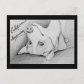 Artaius de Corgi Briefkaart (Voorkant)