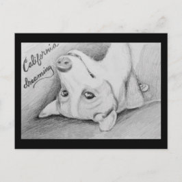 Artaius de Corgi Briefkaart