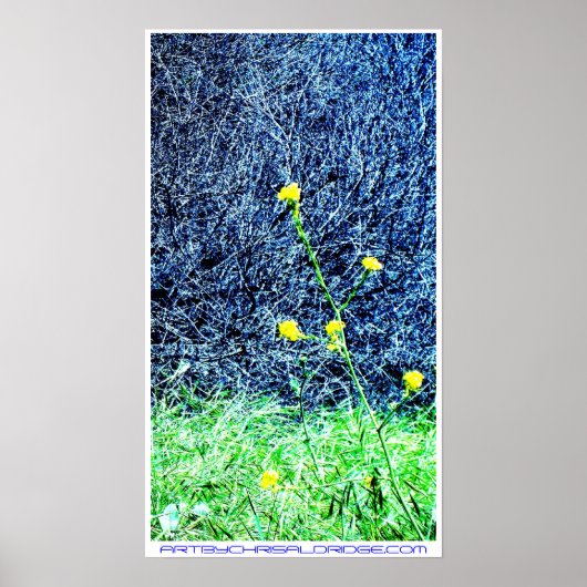 ARTBYCHRISALDRIDGE.COM poster #2 (Voorkant)