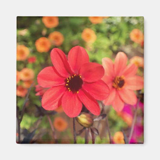 ArtbyLina 66 Magneet (Voorkant)