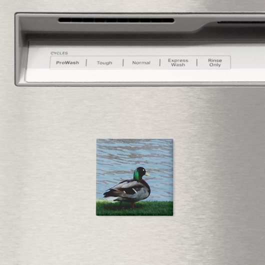 ArtbyLina 92 Magneet (Insitu (Vaatwasser))