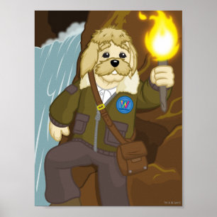 Arte Feit gaat onderzoeken Poster