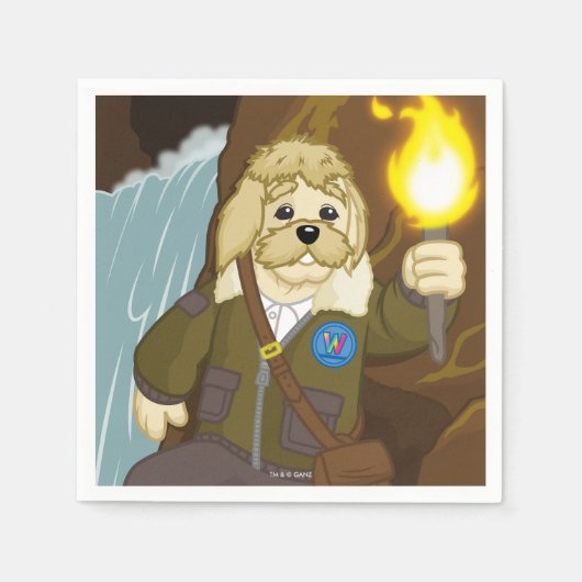 Arte Feit gaat onderzoeken Servetten (Voorkant)