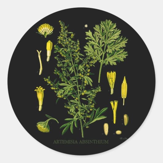 Artemesia Absinthium Ronde Sticker (Voorkant)