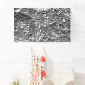 Artemis 1 Moon Mission Lunar Afbeelding Spandoek (Insitu)