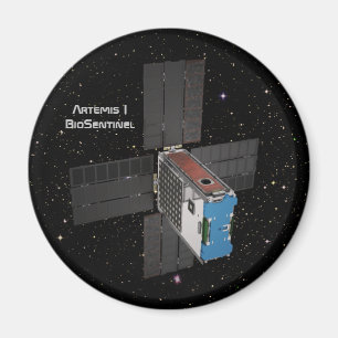 Artemis BioSentinel CubeSat Magneet