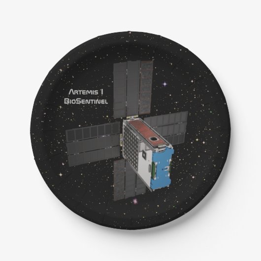 Artemis BioSentinel CubeSat Papieren Bordje (Voorkant)