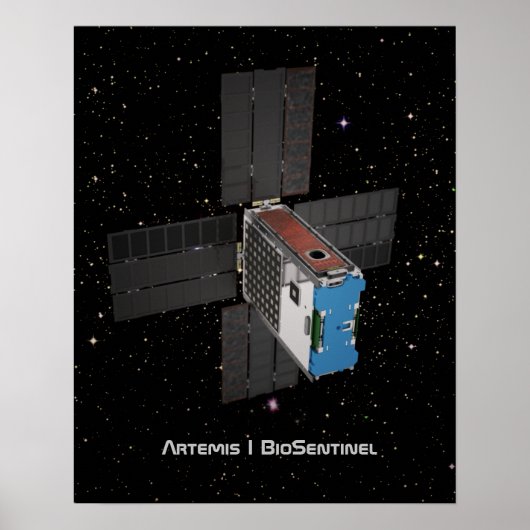 Artemis BioSentinel CubeSat Poster (Voorkant)