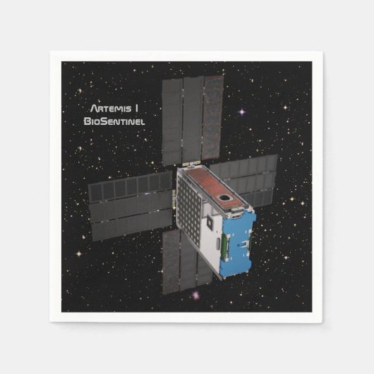 Artemis BioSentinel CubeSat Servet (Voorkant)