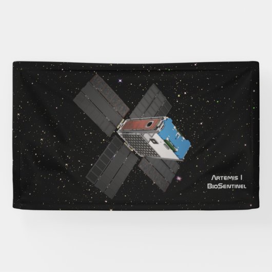 Artemis BioSentinel CubeSat Spandoek (Horizontaal)