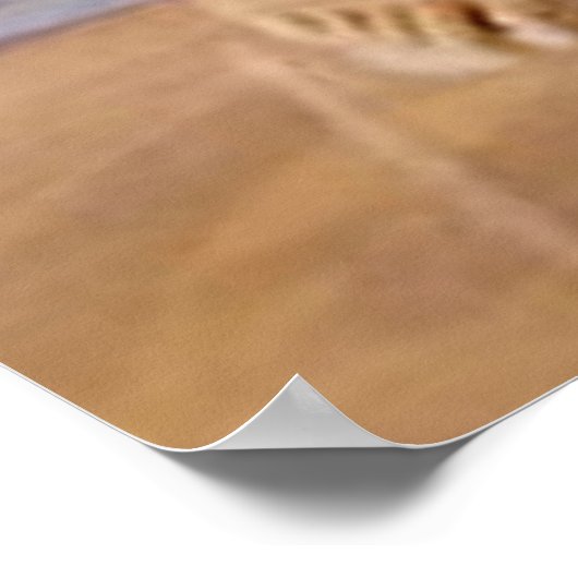 Artemis / Griekse godin / NASA / Poster (Hoek)