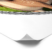 Artemis Griekse Jager Godin Poster (Hoek)