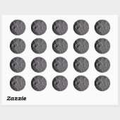 Artemis II Maan kraters Ronde Sticker (Vel)