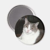 Artemis Magneet (Voorkant / Achterkant)