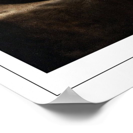 Artemisia Gentileschi Zedign Art Poster #81 (Hoek)