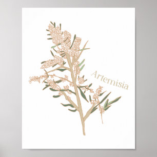 Artemisie Poster