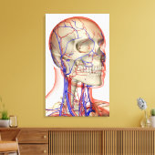 Arterieën en aderen in het hoofd en de nek canvas afdruk (Insitu (Woonkamer))
