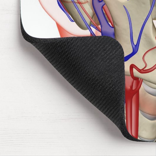 Arterieën en aderen in het hoofd en de nek muismat (Hoek)