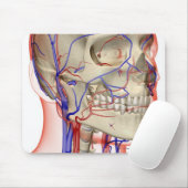 Arterieën en aderen in het hoofd en de nek muismat (Met muis)