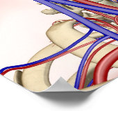 Arterieën en aderen in het hoofd en de nek poster (Hoek)