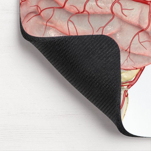 Arterieën van de hersenen muismat (Hoek)