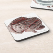 Arterieën van het brein 3 drankjes onderzetter (Linkerzijde)