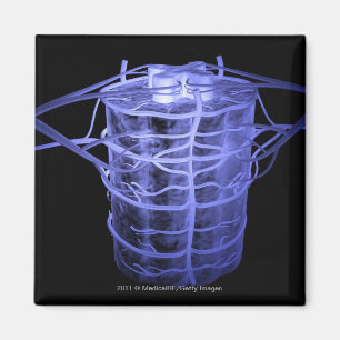 Arteriën rond een deel van de wervelkolom magneet