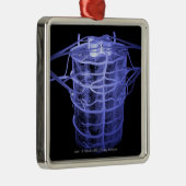 Arteriën rond een deel van de wervelkolom metalen ornament (Rechts)