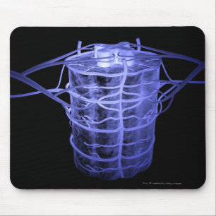 Arteriën rond een deel van de wervelkolom muismat