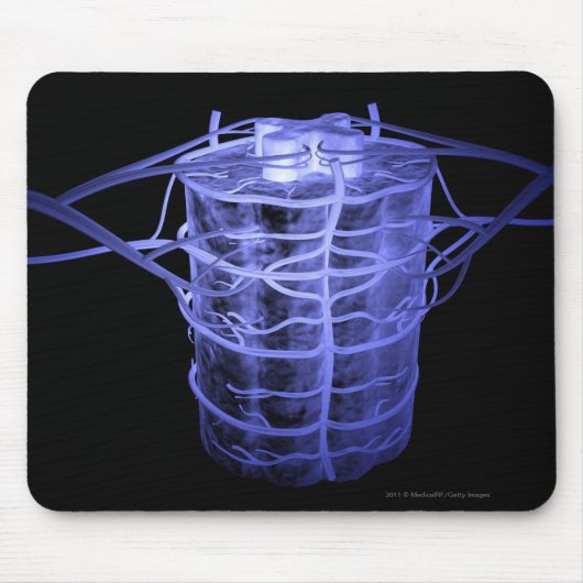 Arteriën rond een deel van de wervelkolom muismat (Voorkant)