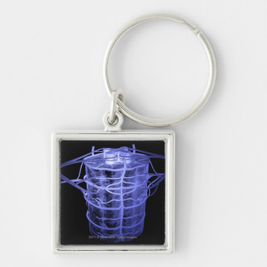 Arteriën rond een deel van de wervelkolom sleutelhanger (Voorkant)