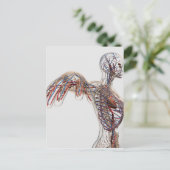 Arteriën, veinen en lymfatisch systeem 2 briefkaart (Staand voorkant)