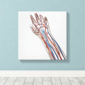 Arteriën, veinen en lymfatisch systeem 3 canvas afdruk (Insitu (Houten vloer))