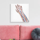 Arteriën, veinen en lymfatisch systeem 3 canvas afdruk (Insitu (Woonkamer))