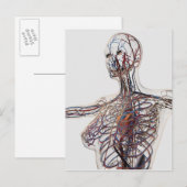 Arteriën, veinen en lymfestelselaandoeningen 1 briefkaart (Voorkant / Achterkant)