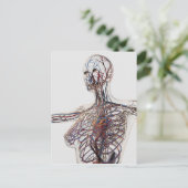 Arteriën, veinen en lymfestelselaandoeningen 1 briefkaart (Staand voorkant)