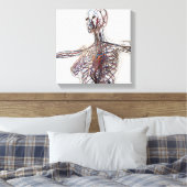 Arteriën, veinen en lymfestelselaandoeningen 1 canvas afdruk (Insitu (Slaapkamer))