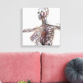 Arteriën, veinen en lymfestelselaandoeningen 1 canvas afdruk (Insitu (Woonkamer))