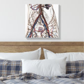 Arteriën, veinen en lymfestelselaandoeningen 4 canvas afdruk (Insitu (Slaapkamer))