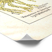 Arteries, Veins Lymfatica Anatomie Poster Frans (Hoek)