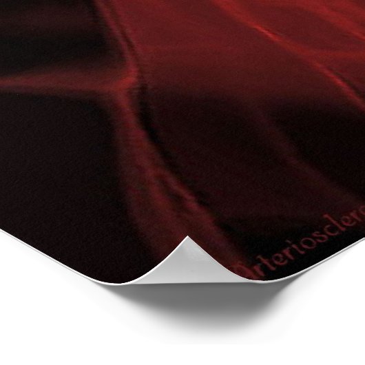 Arteriosclerose Poster (Hoek)