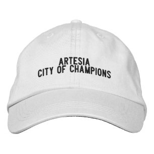 ARTESIA New Mexico Hoed Geborduurde Pet