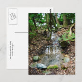 Artesiaanse lente briefkaart (Voorkant / Achterkant)