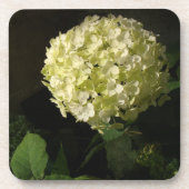 Artful Annabelle Hydrangea Bloom Bier Onderzetter (Voorkant)