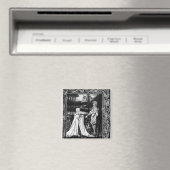 Arthur en de vreemde mantel magneet (Insitu (Vaatwasser))