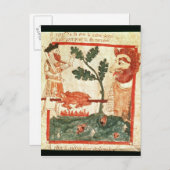 Arthur ontmoet de reus die een varken op a briefkaart (Voorkant / Achterkant)